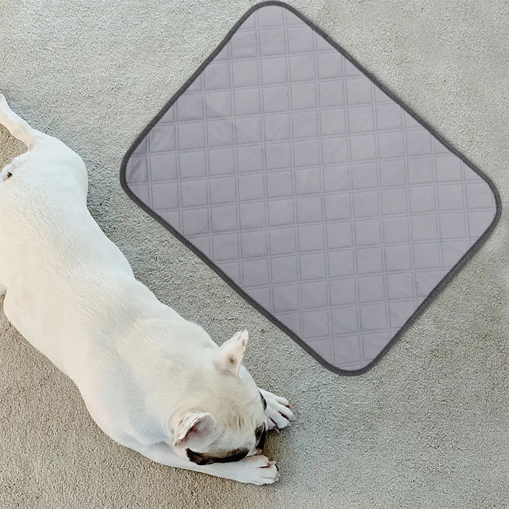Reusable Dog Pee Pad Large Comfortable Soft Texture Absorption Odor