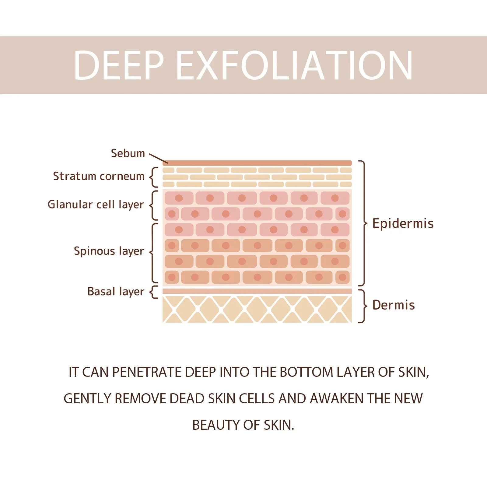 Exfoliating Gel Gentle Cleasning Pore Skin Smoothing Remove Dead Skin Blackhead Removal Cleansing Brighten Peeling Face Scrub Zpaxo