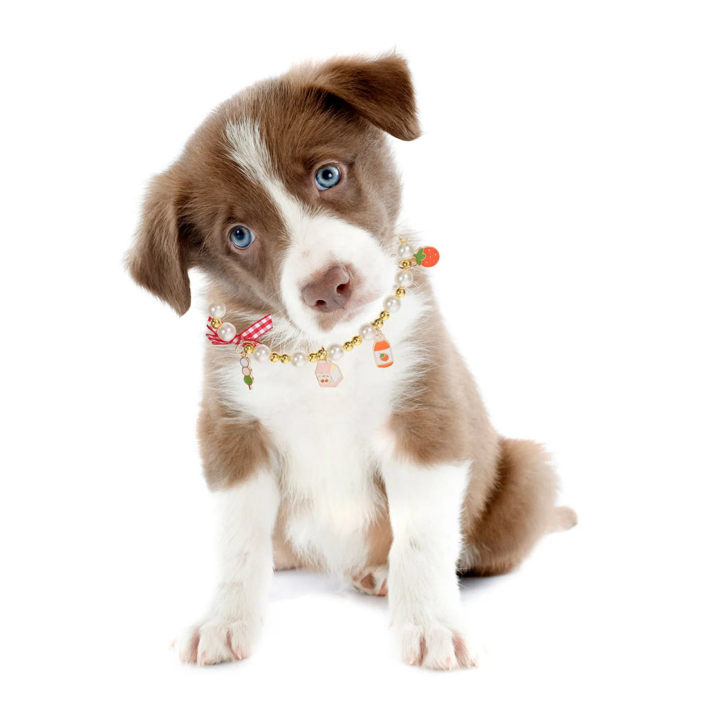Pearl Design Pet Collar Bowknot Pendant Decorative Cat Dog Necklace