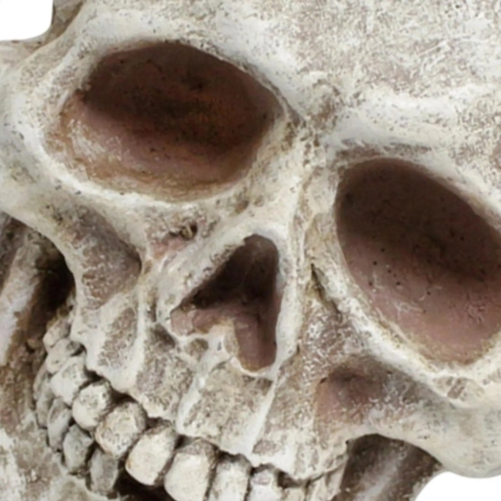Halloween Skull Decor Resin Decorative Realistic Gothic Statue Human