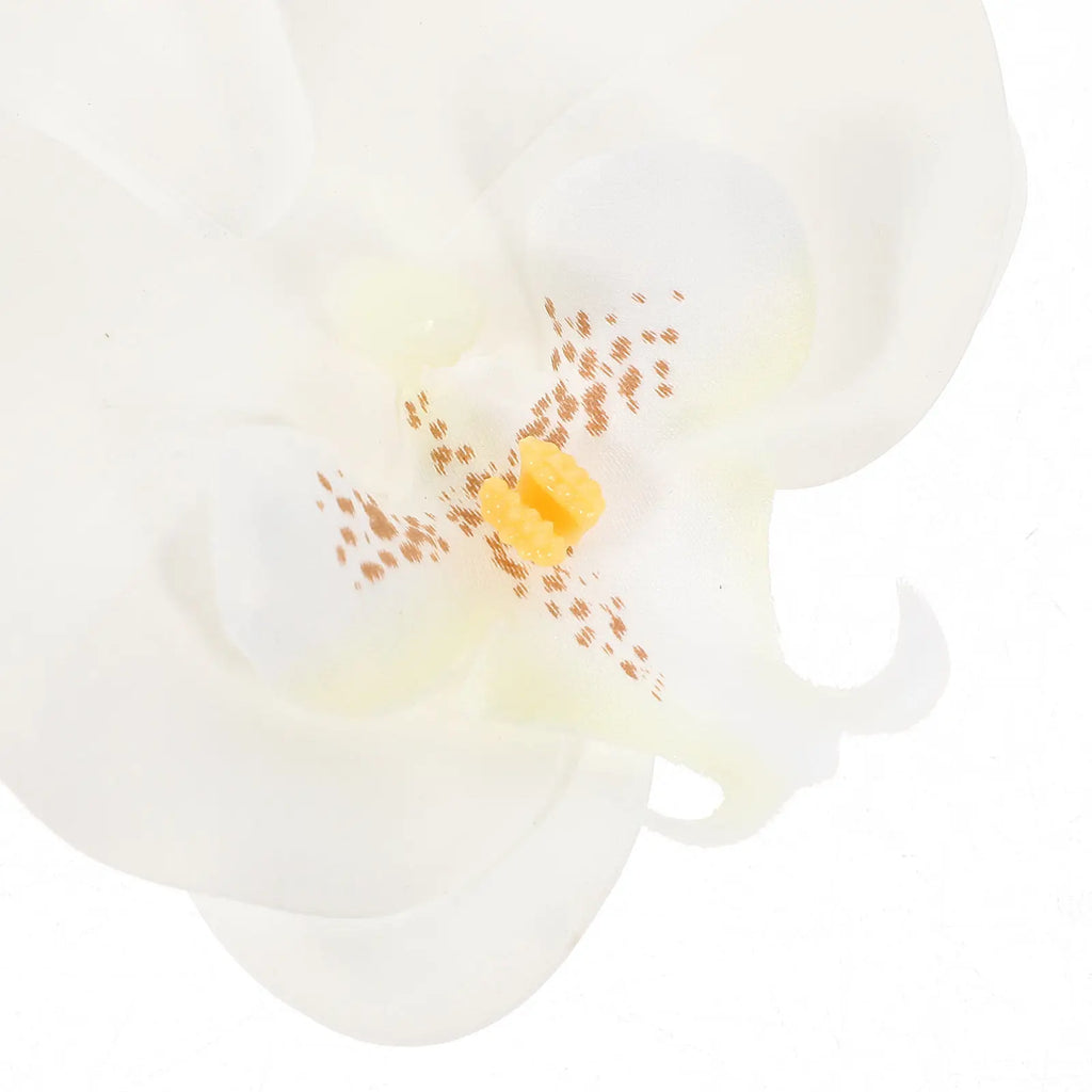 Artificial Butterfly Orchid Heads Fake Phalaenopsis Flowers DIY Craft