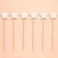 6Pcs Fairy Wands DIY Craft Sticks Blank Painting Kids Creative Activities Fairy Party Decoration Fun Gifts Wands for Girls