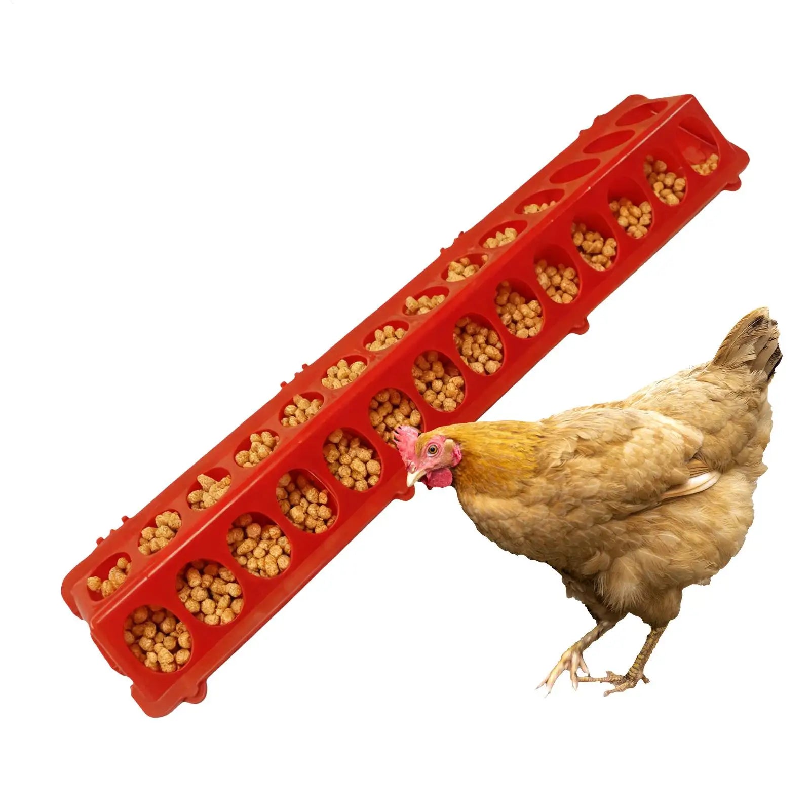 Pigeon Feeder 28-hole Long Large Capacity Pet Supplies Baby Chick