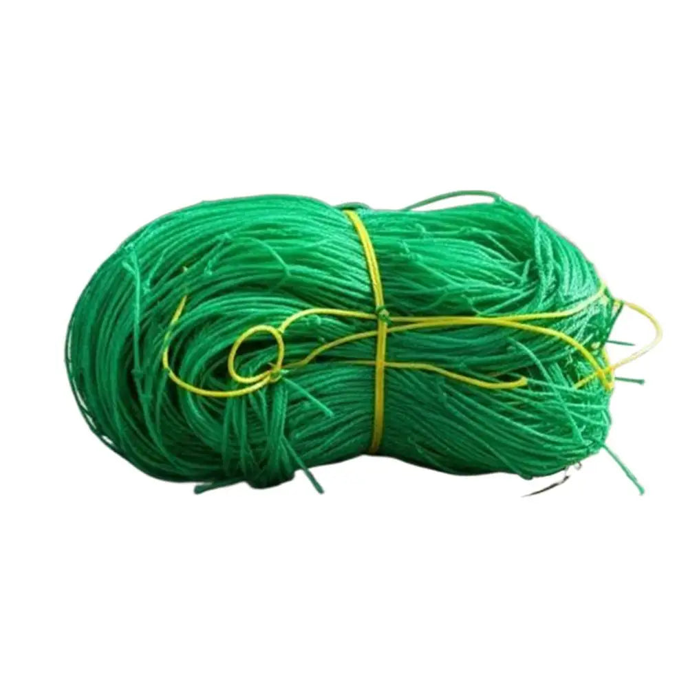 Climbing Plant Trellis Netting 2x5m Climbing Support Gardening Netting Mesh Plant Growing Trellis For Cucumber Tomato Eggplants Zpaxo Green China Mainland