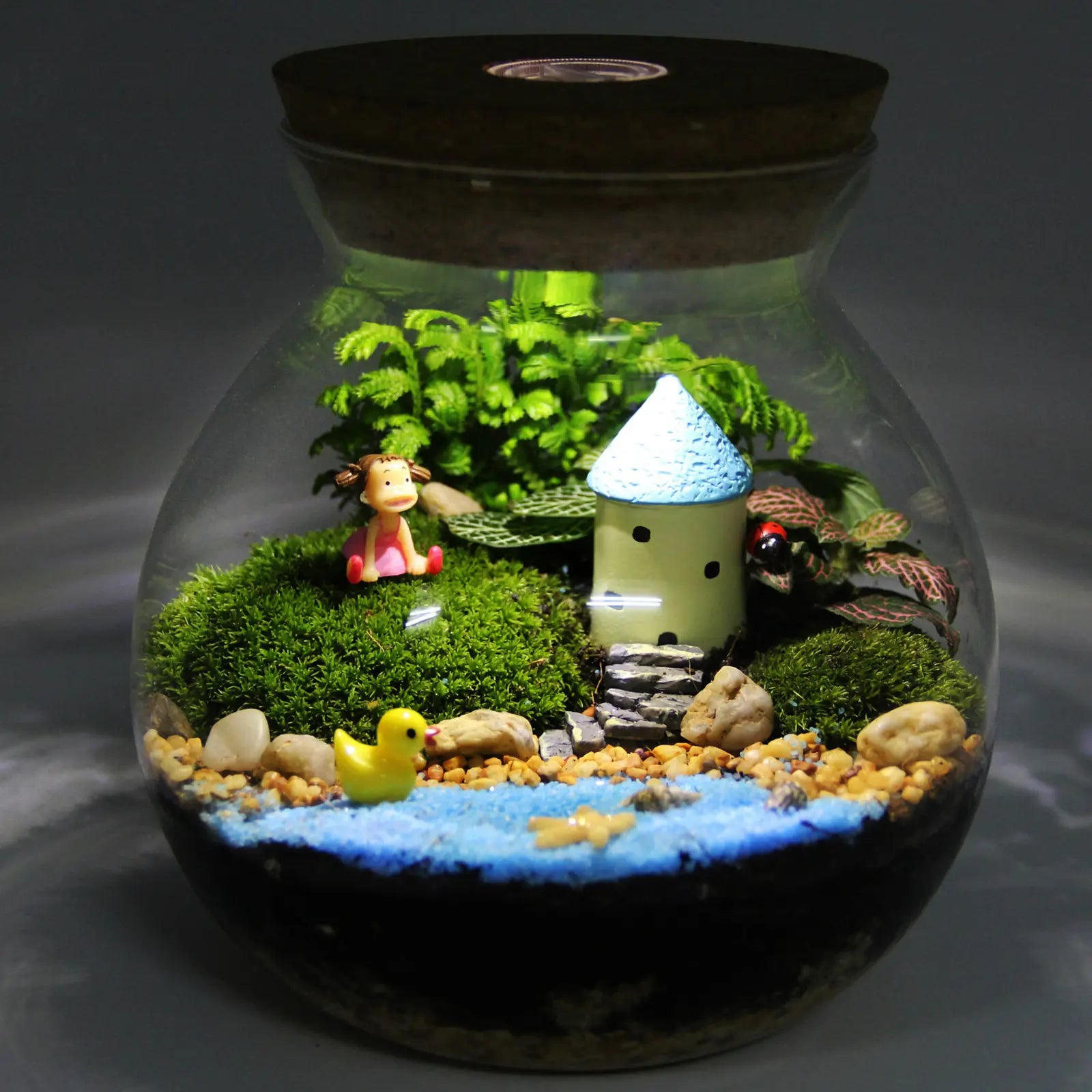 Transparent Borosilicate Glass Micro Landscape Bottle with LED Light Wooden Lid Ecological Terrarium for Indoor Home Decoration