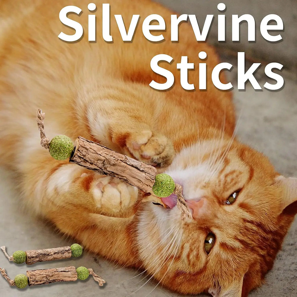 Cat Cleaning Teeth Pure Natural Catnip Molar Toothpaste Stick