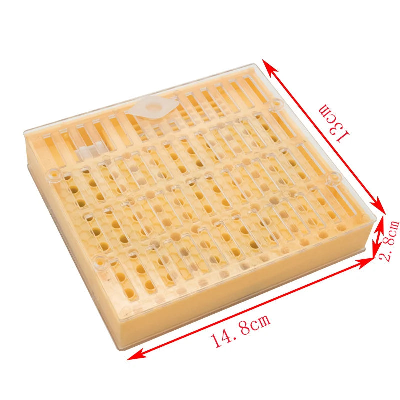 Queen Bee Rearing System Plastic Cell Cage Protection Cover Base Box