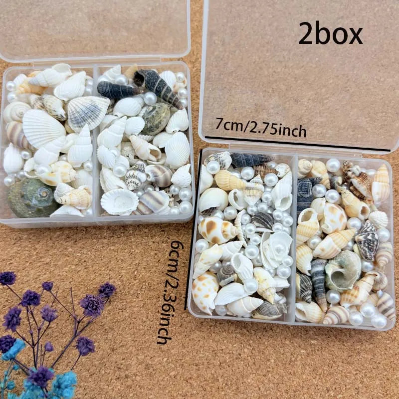 Natural Mixed Seashells & Ocean Pearls – Beach Decor & Crafts Decorative Seashells Zpaxo 2 box