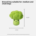 Broccoli Squeaky Plush Dog Toy – Chew, Clean & Play