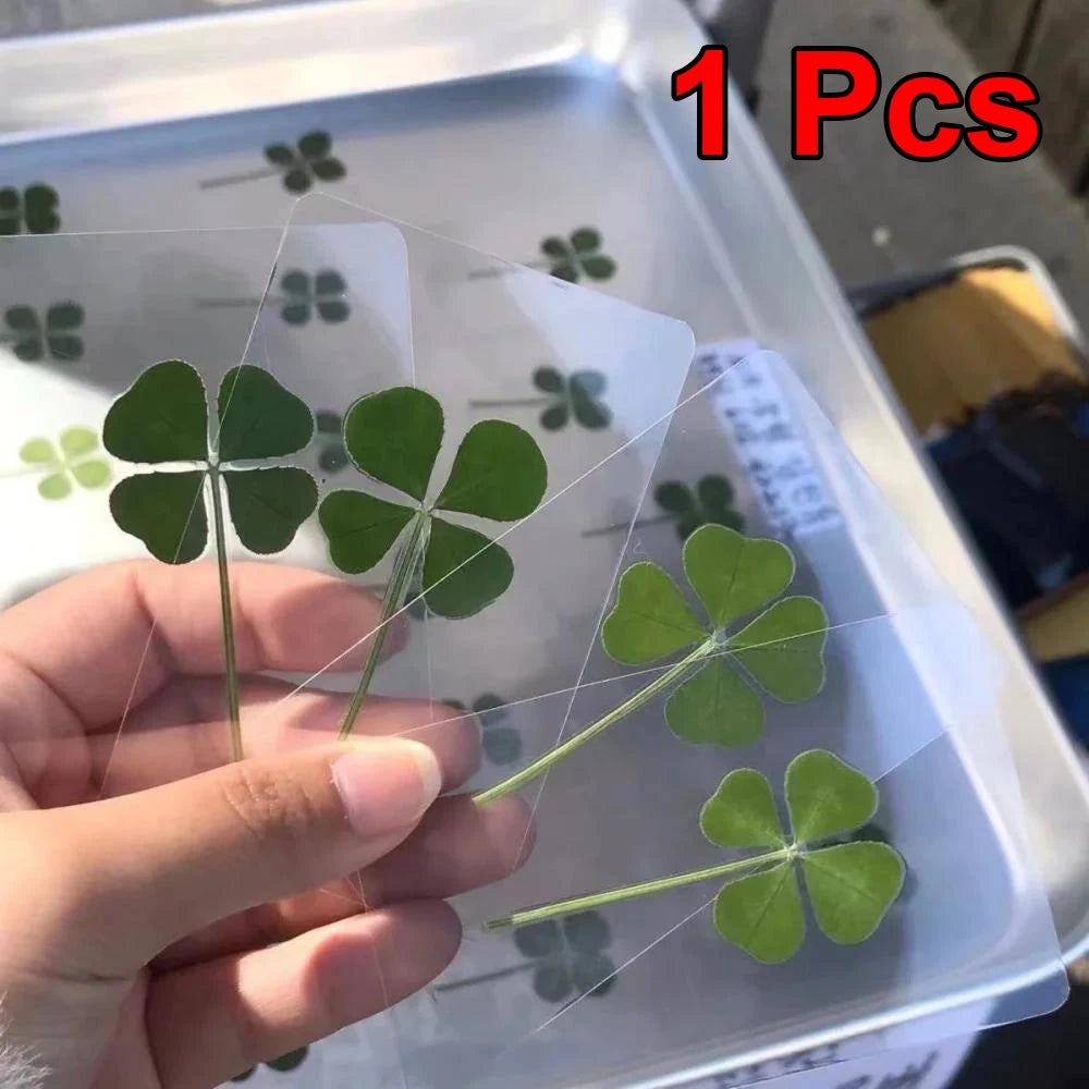 Lucky Four-leaf Clover Postcards Grass Acrylic Transparent Wishing Zpaxo 1pcs