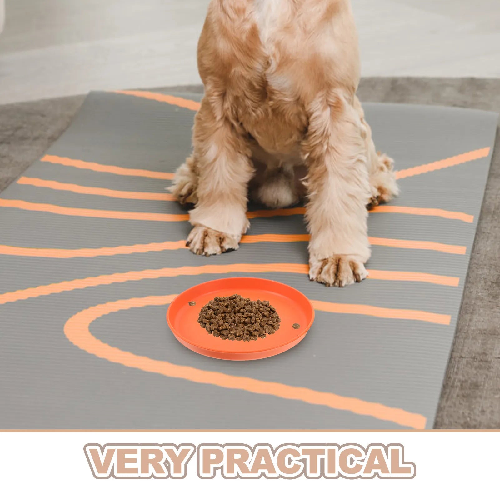 Pet Feeding Bowls Multifunctional Shallow Cat Plates Wet Food Dry