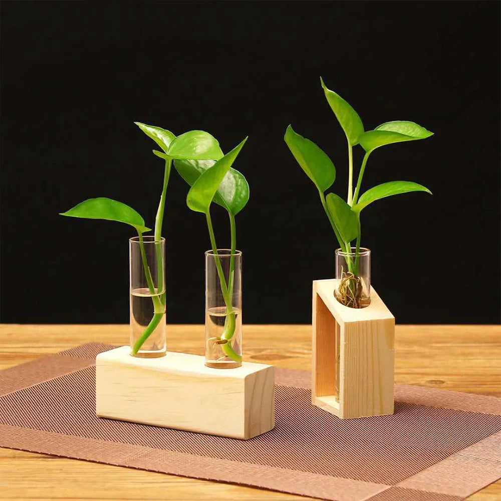 Test Tube Glass Vase Plant Propagation Station Hydroponic Vases for Plants with Wooden Stand Terrarium Office Home Desktop Decor Zpaxo