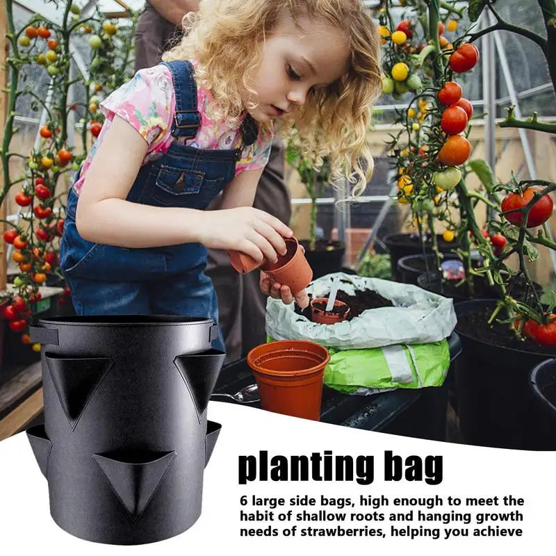 Potato Growing Bags 7 Gallon 6 Side Grow Pocket Outdoor Planter