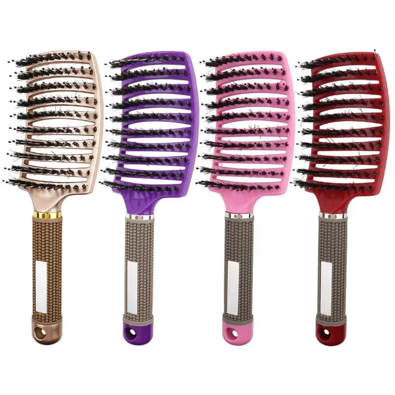 Hairbrush Bristle Nylon Women Wet Curly Detangle Hair Brush Hair Brushes Scalp Massage Comb for Salon Hairdressing Styling Tools Zpaxo