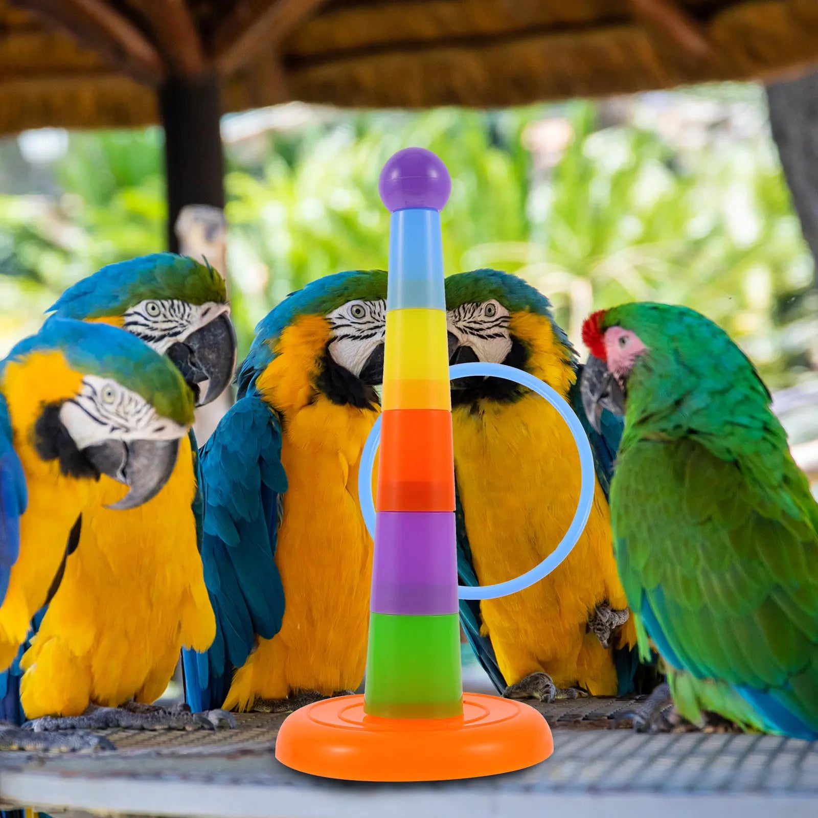 Interactive Bright Ring Toss Playground Educational Parrot Playing