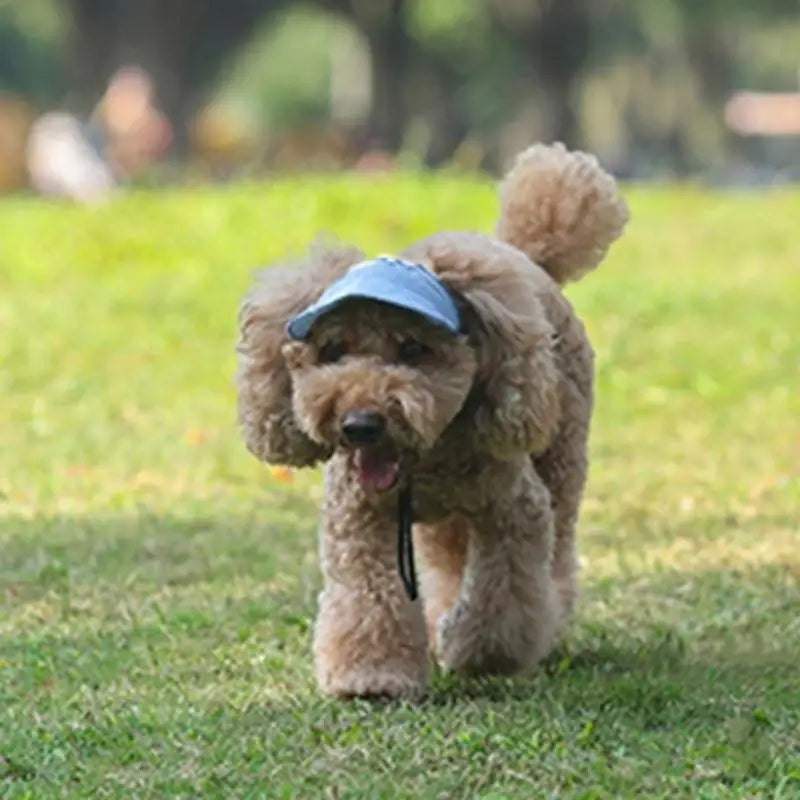 Stylish Dog Cap 4 Size Available Breathable Design Pet Sun Hat For Daily Walks And Play Beach Zpaxo