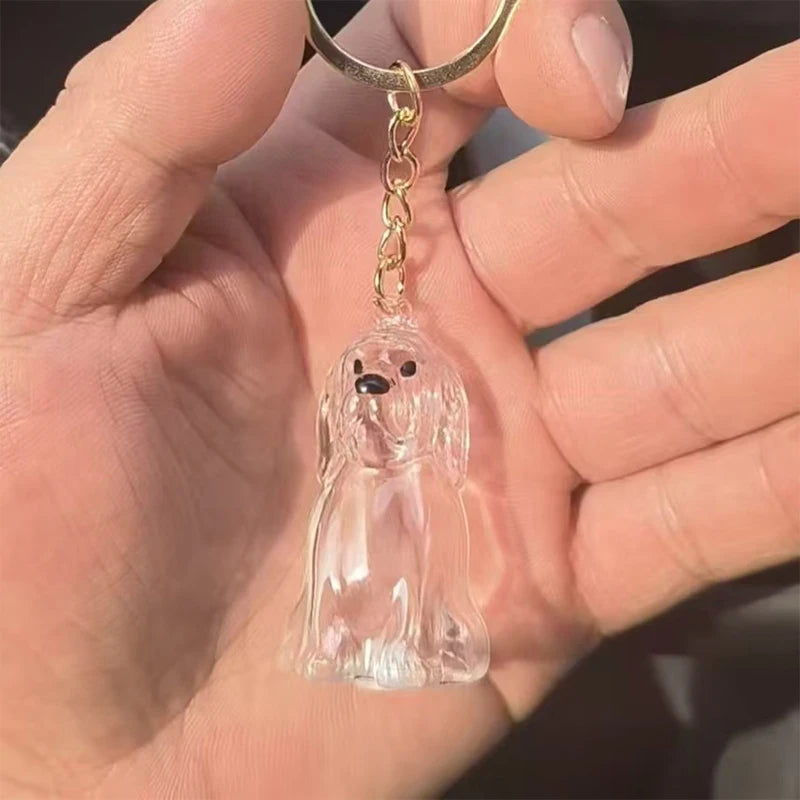 Dog Hair Storage Pendant Keychain Transparent Cat Fur Keepsake
