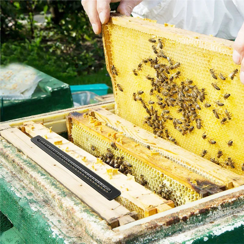 10 Beekeeping Bee Beetle Traps Beehives Hive Beetles Blaster Trap