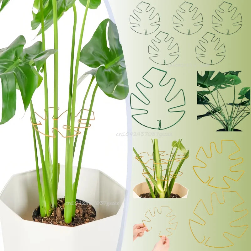 Plant Support Adjustable Metal Plant Support Climbing Stem Holder Monstera Stabilizergardening Tools and Planting Supplies Zpaxo