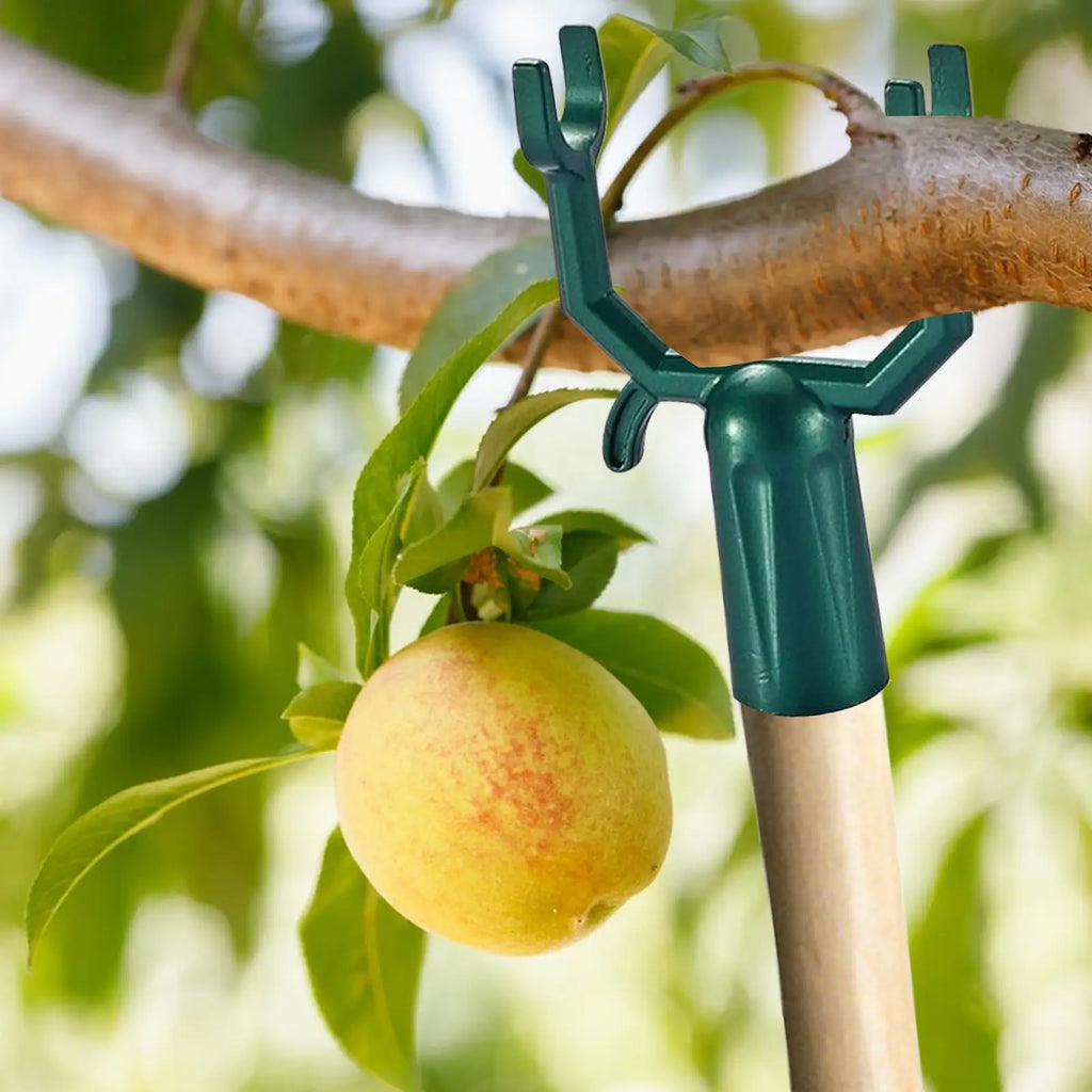 5Pcs Tree Branch Support Tree Limb Holder Fruit Tree Support Stand Black Green Tree Braces For Leaning Trees Plants Reusable Zpaxo