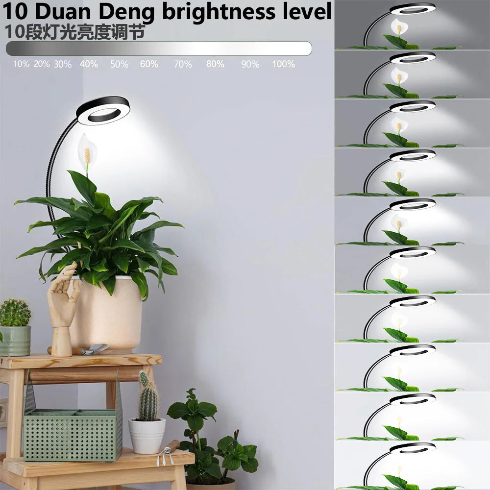 Full Spectrum LED Grow Light – Dimmable Clip Lamp for Indoor Plants