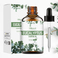 Eucalyptus Essential Oil aceite esencial aromático para difusor Aromatherapy Multi-purpose essential oils Multi-scene essential Zpaxo 100ML EUCALYPTUS Other