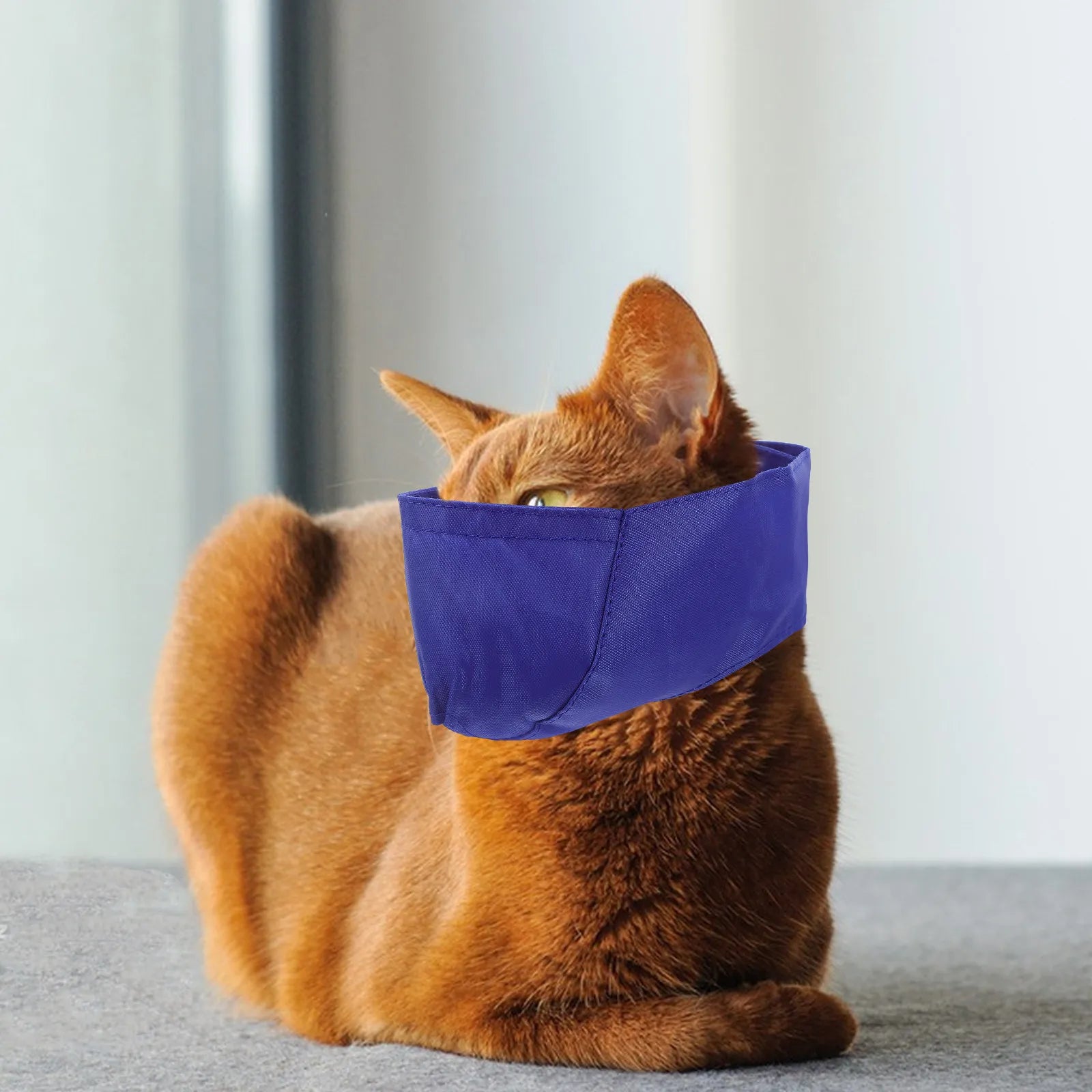 Cat Eye Mask Soft Comfortable Cover Excitement Relief During Grooming