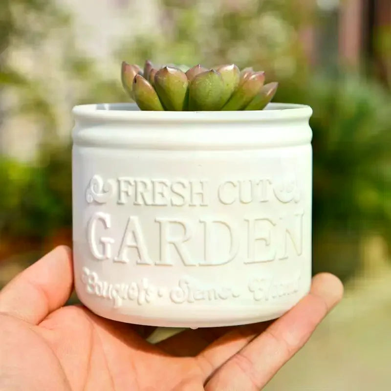 Round Planters Succulents Plant Pot Flower Pot Office Desktop Balcony Home Garden Decoration Outdoor Potted Zpaxo