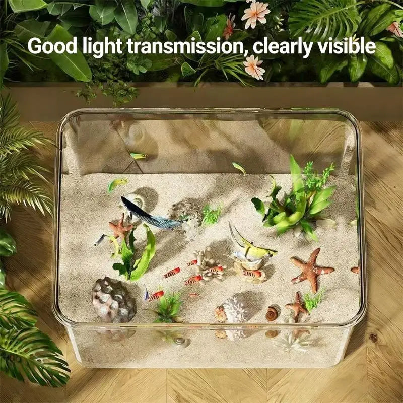 Frameless Tabletop Aquarium Shatterproof Clear Acrylic Aquatic Scene