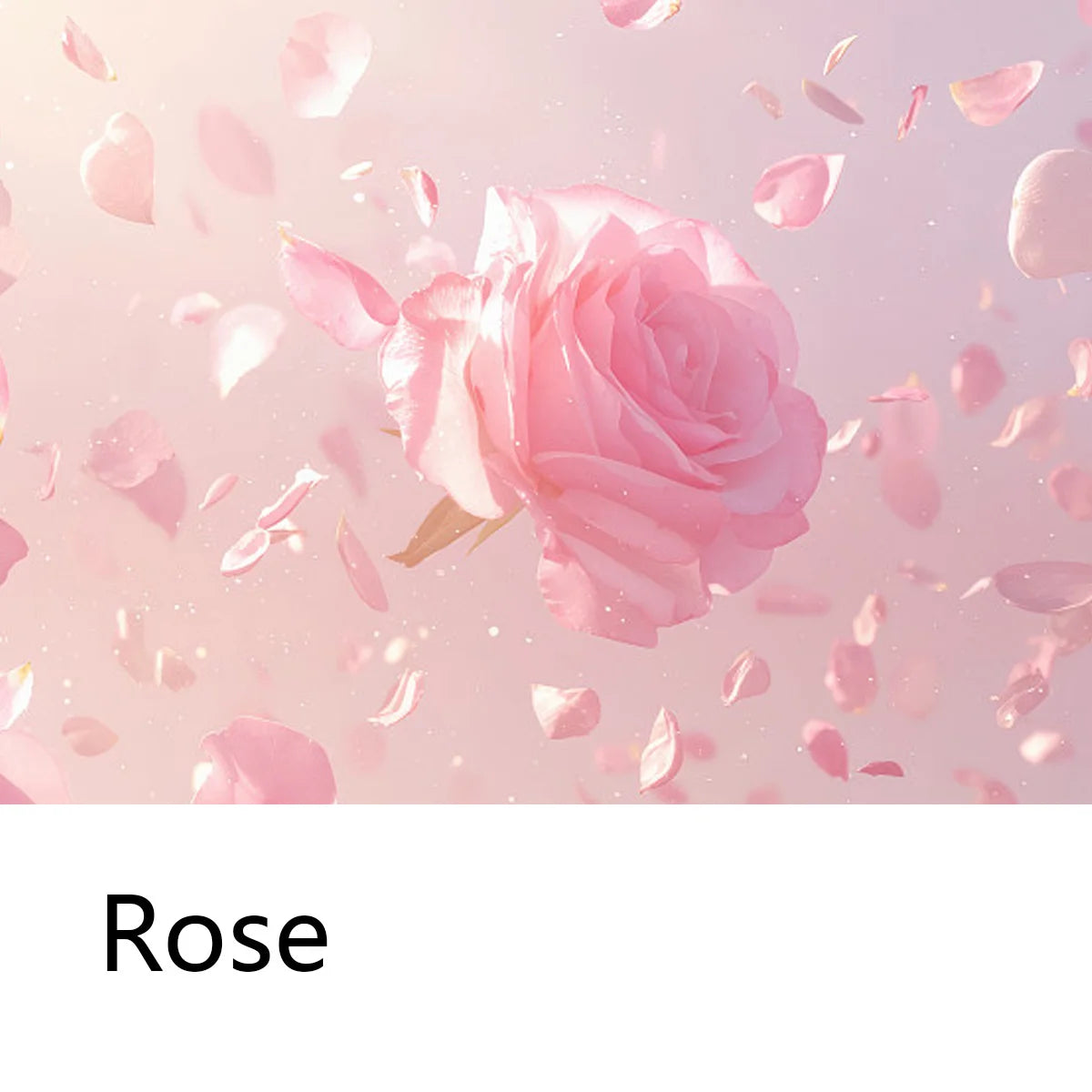 Pink Rose Essential Oil Shampoo Bar – Hair & Hand Soap Shampoo Bar Soap Zpaxo
