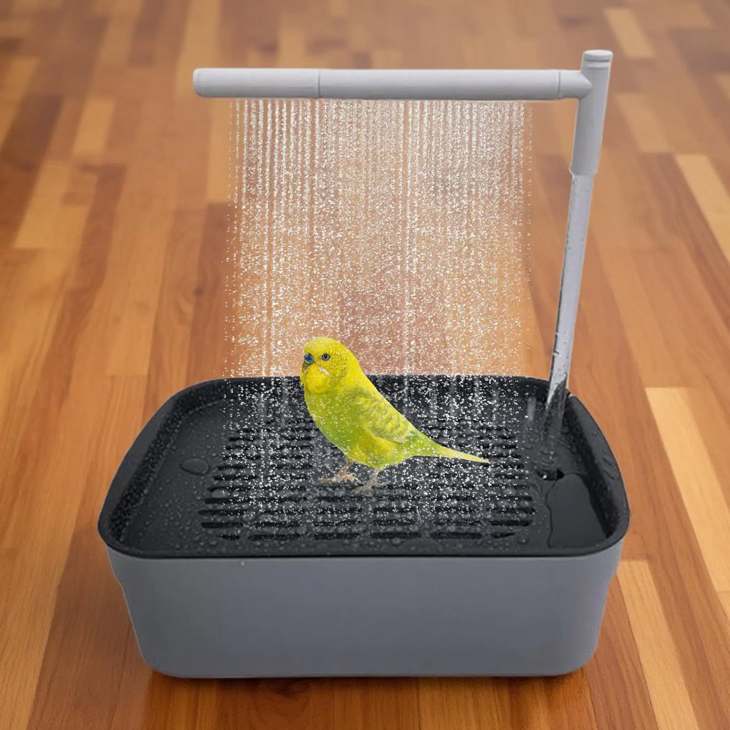 Parrot Bath Automatic Bird Bath Parrot Shower Rechargeable Tub with Circulating Faucet Pet Supplies Bathing Accessories Zpaxo