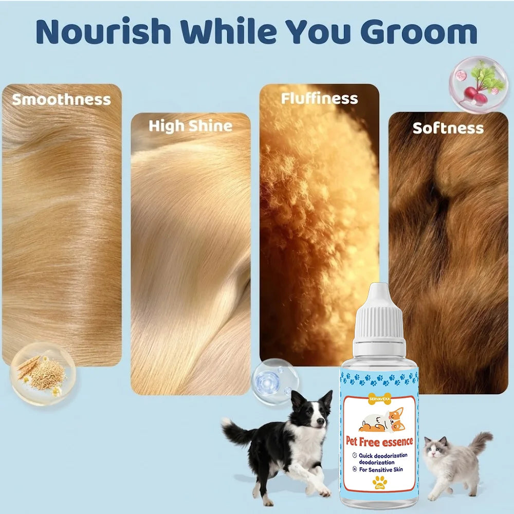 Pet Dry Bath Essential Oil Soft Silicone Cleaning Brush Set Cat Dog Odor Control Waterless Shampoo Dispenser Grooming Supply Zpaxo