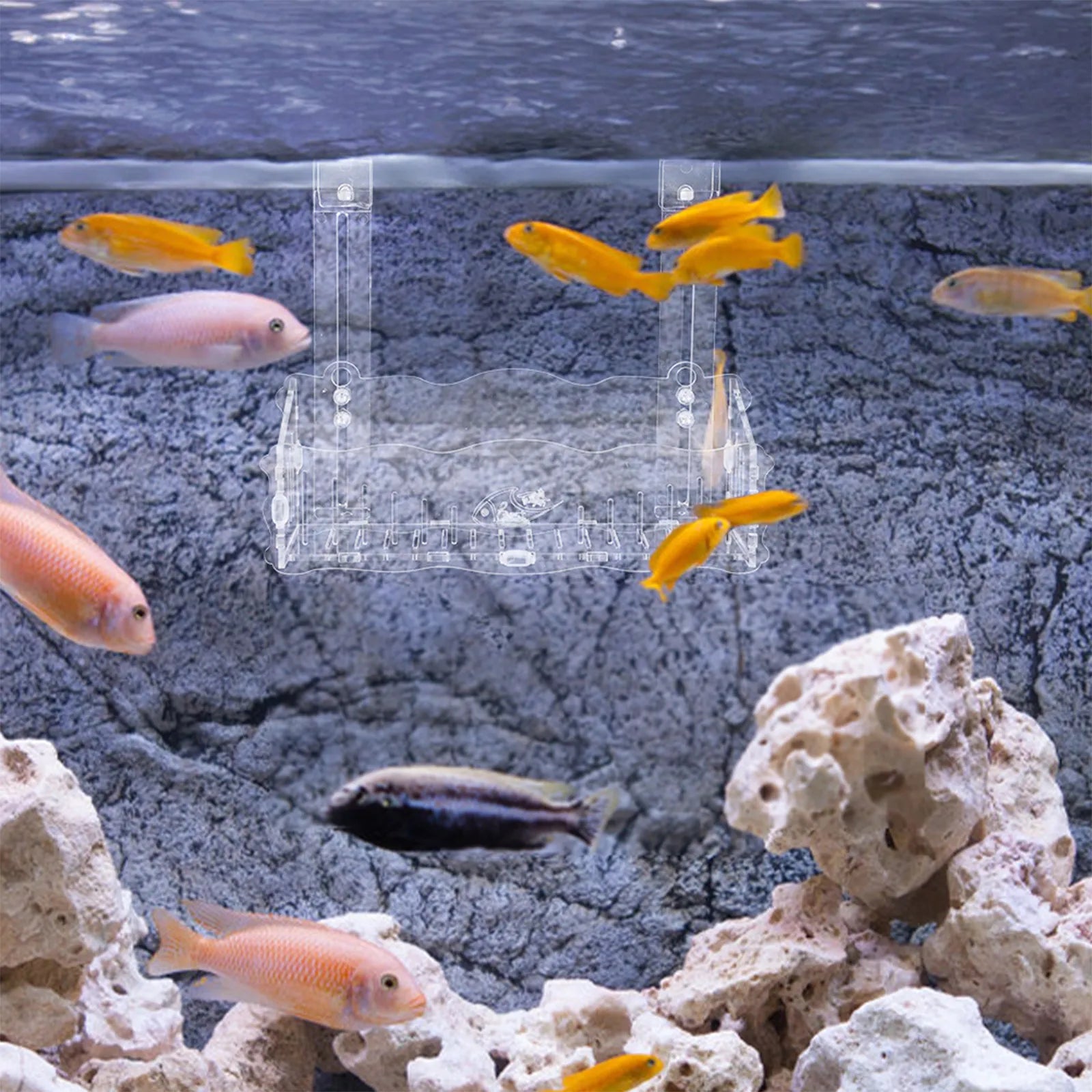 Clear Aquarium Plant Stand Suction Cup Hook Fish Tank Planter Water
