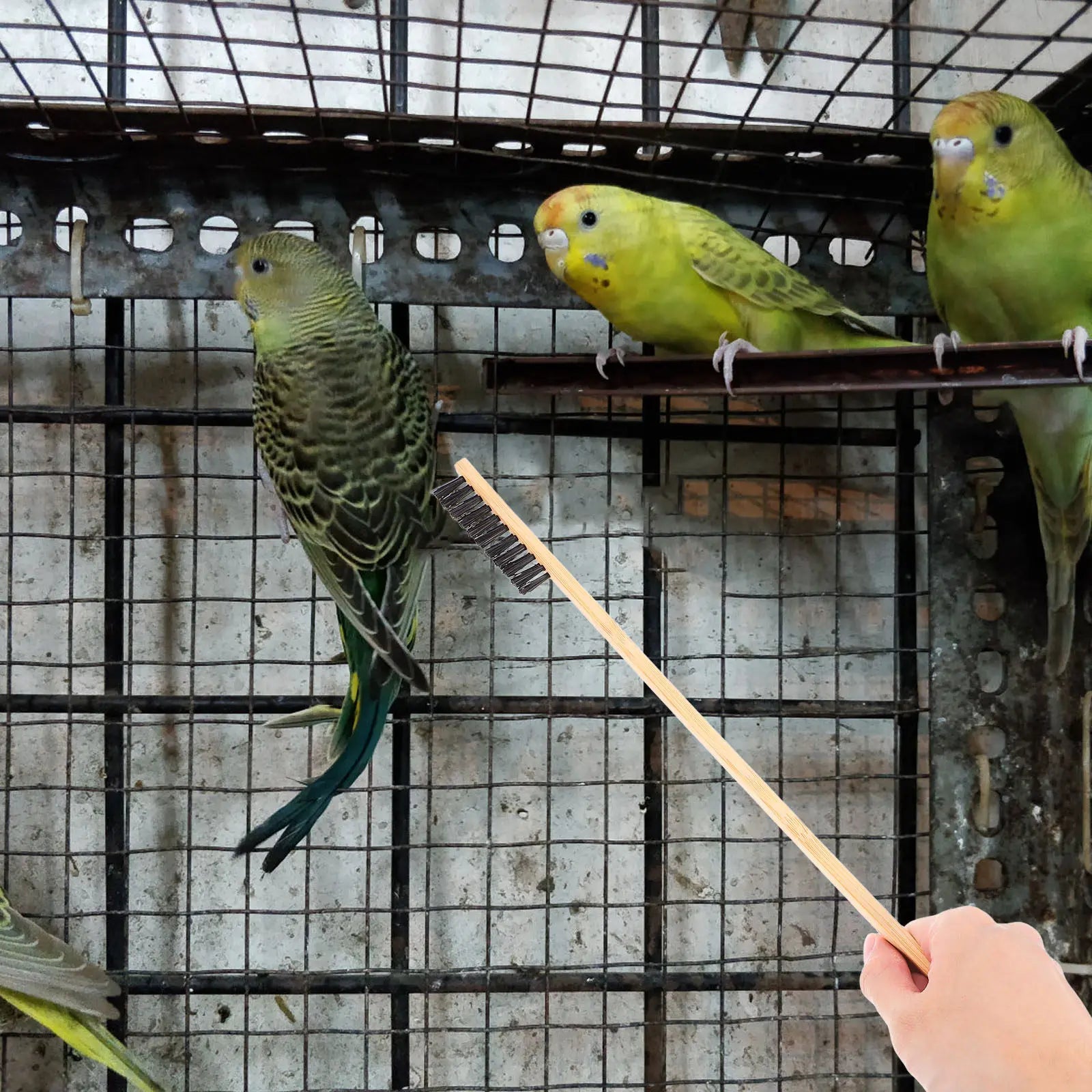 Bird Cage Cleaning Brush Wood Stainless Steel Droppings Shovel