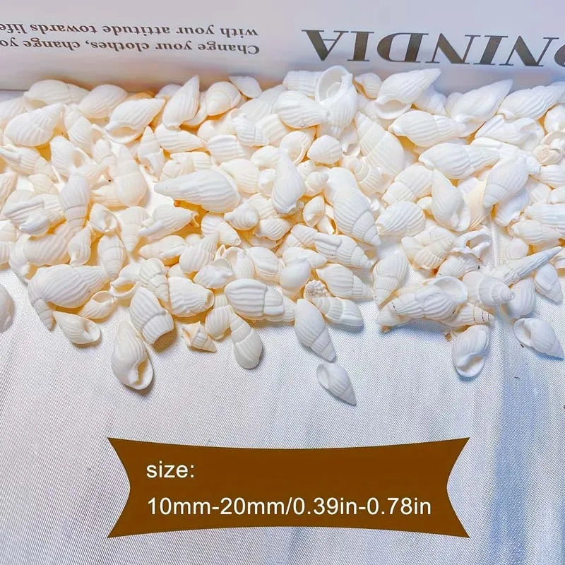 200-Pack Natural Mini White Spiral Conch Seashells for DIY Natural Craft Seashells Zpaxo