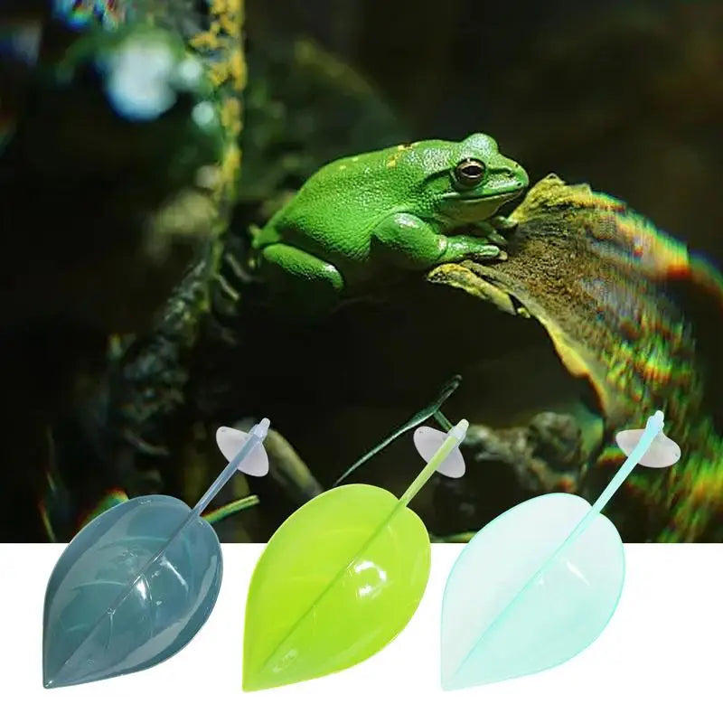 Geckos Frog Habitat Leaf Suction Cup Reptile Basking Area Resting
