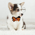 Halloween Pet Collar Adjustable Bow Tie Bell Lightweight Comfortable