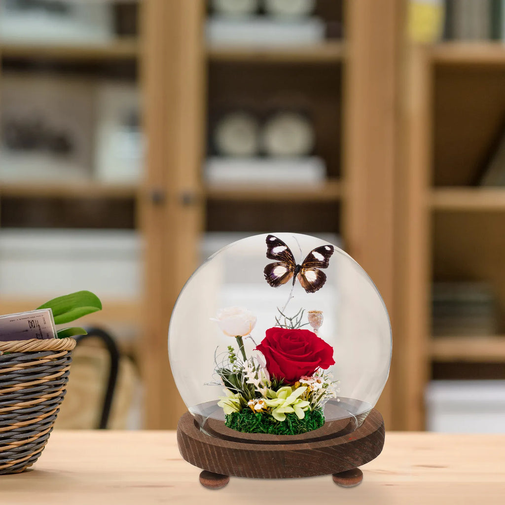 Miniature Round Glass Dome Wood Base Display Case Clear Cover Eternal