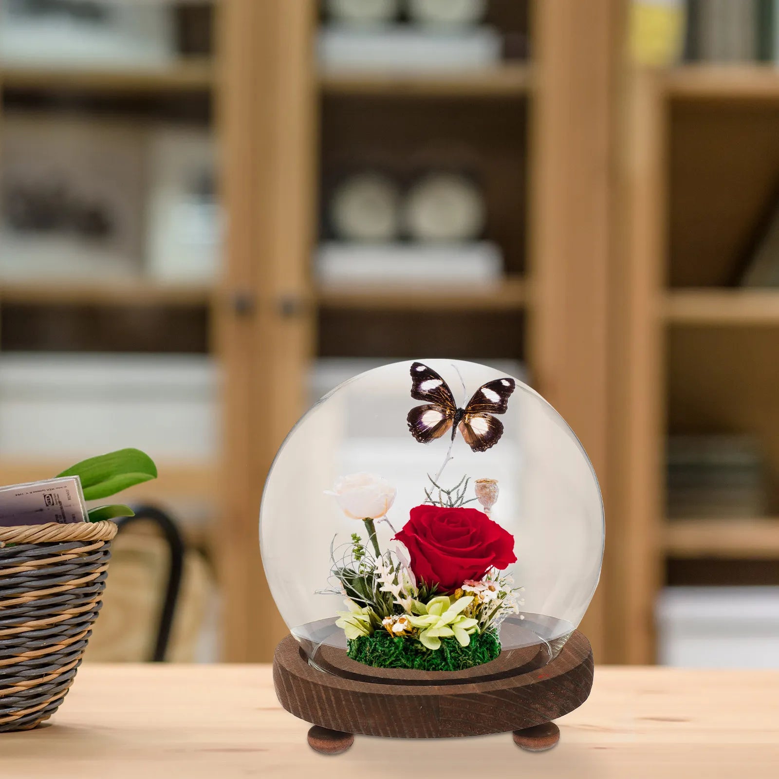 Miniature Round Glass Dome Wood Base Display Case Clear Cover Eternal
