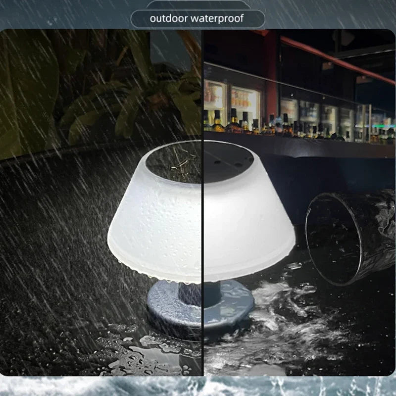 Outdoor Solar Lighting Garden USB Rechargeable Indoor Desk Bar Decor Zpaxo
