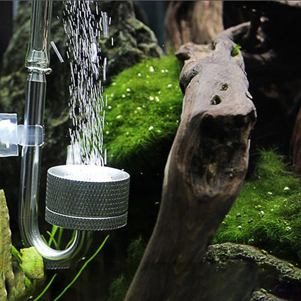 Aquarium Accessoires CO2 Generato Aquatic Plant Growth Suction Cup
