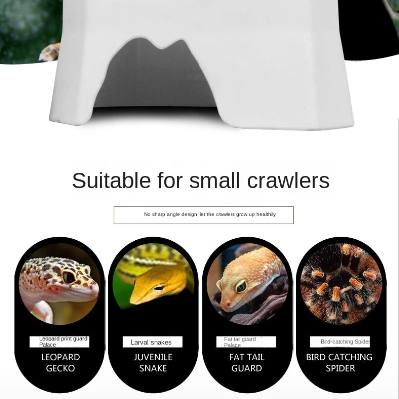Plastic to avoid water basin reptile water basin tortoise palace Corn snake climb pet drink bowl plastic supplies simulation Zpaxo