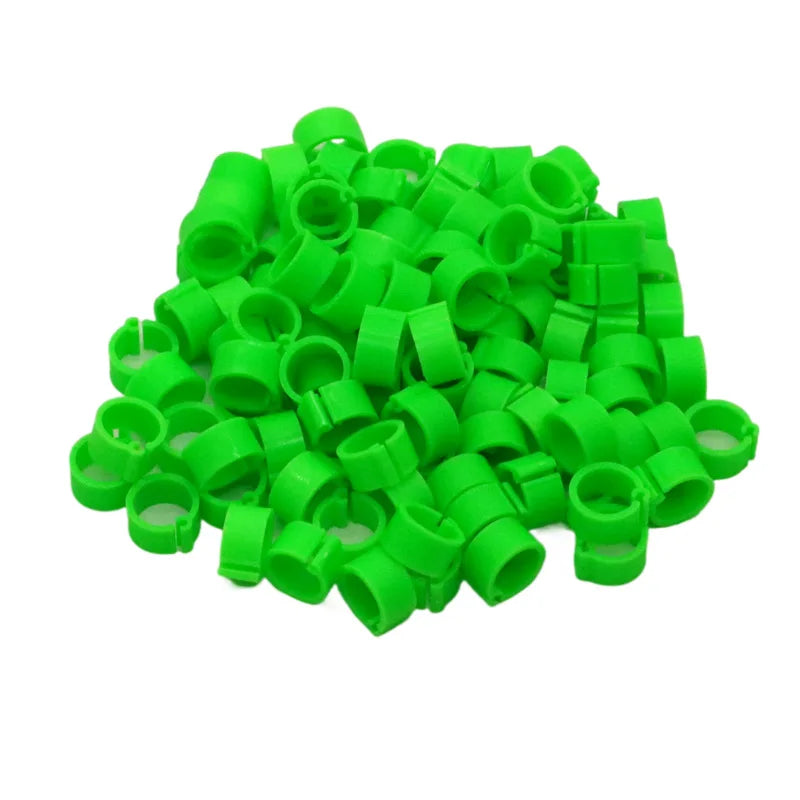 Birds Feet Rings Inner Diameter Width Plastic Clip Ring Pigeon Dove Zpaxo green