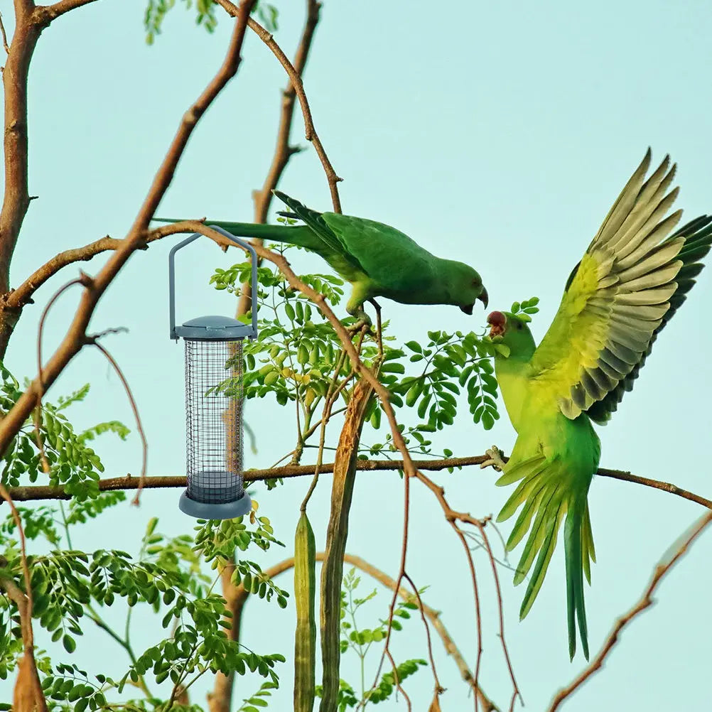 Metal Outdoor Birds Feeder Hanging Garden Bird Feeding Tool Large