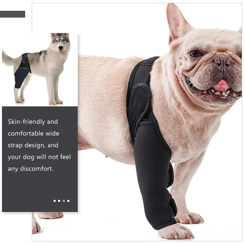Dog Leg Brace Premium Neoprene Strap Injured Support Elastic