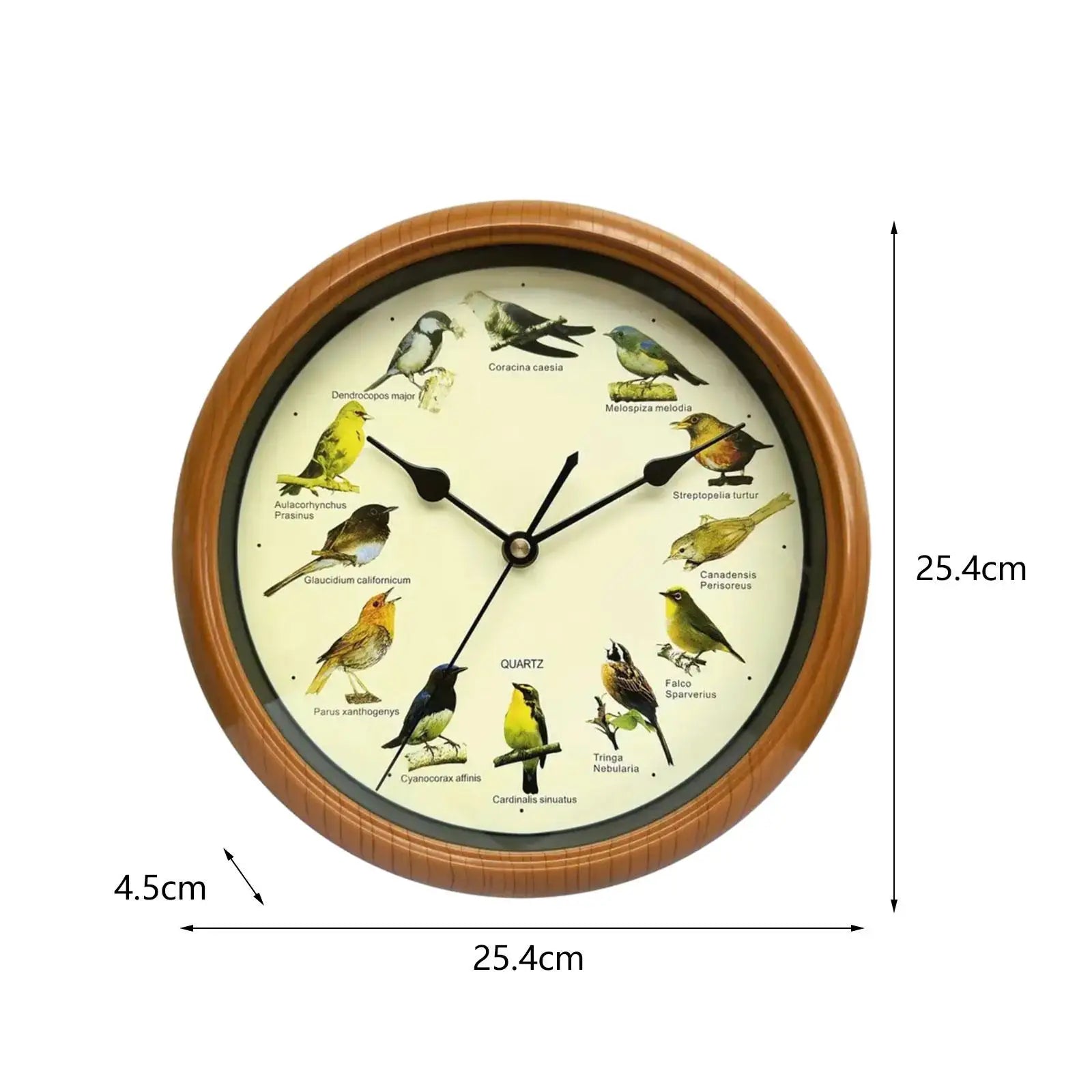 Wall Hanging Clock Decor Singing Bird Wall Clock Bird Clock With Sound Hanging Clock Decor for Kitchen Walls Shelf Decoration Zpaxo