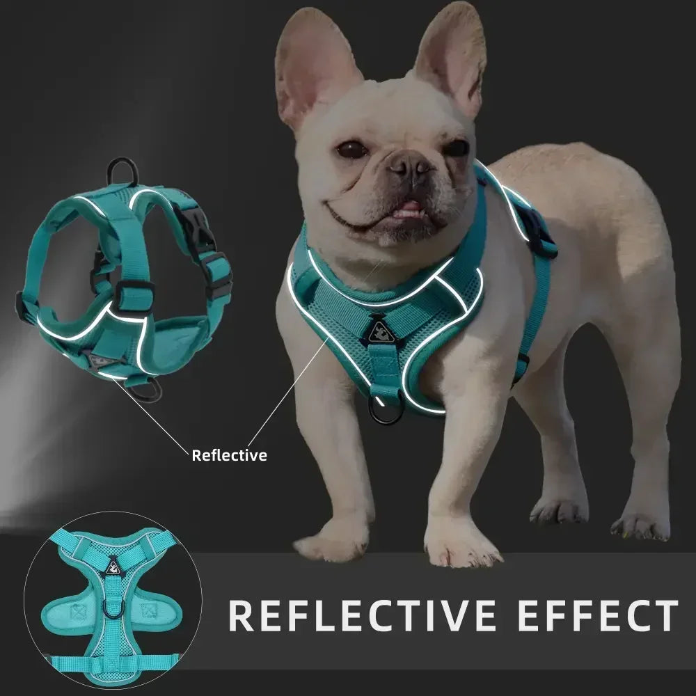 No Pull Dog Harness Leash Adjustable Pet Vest Small Dogs Cats