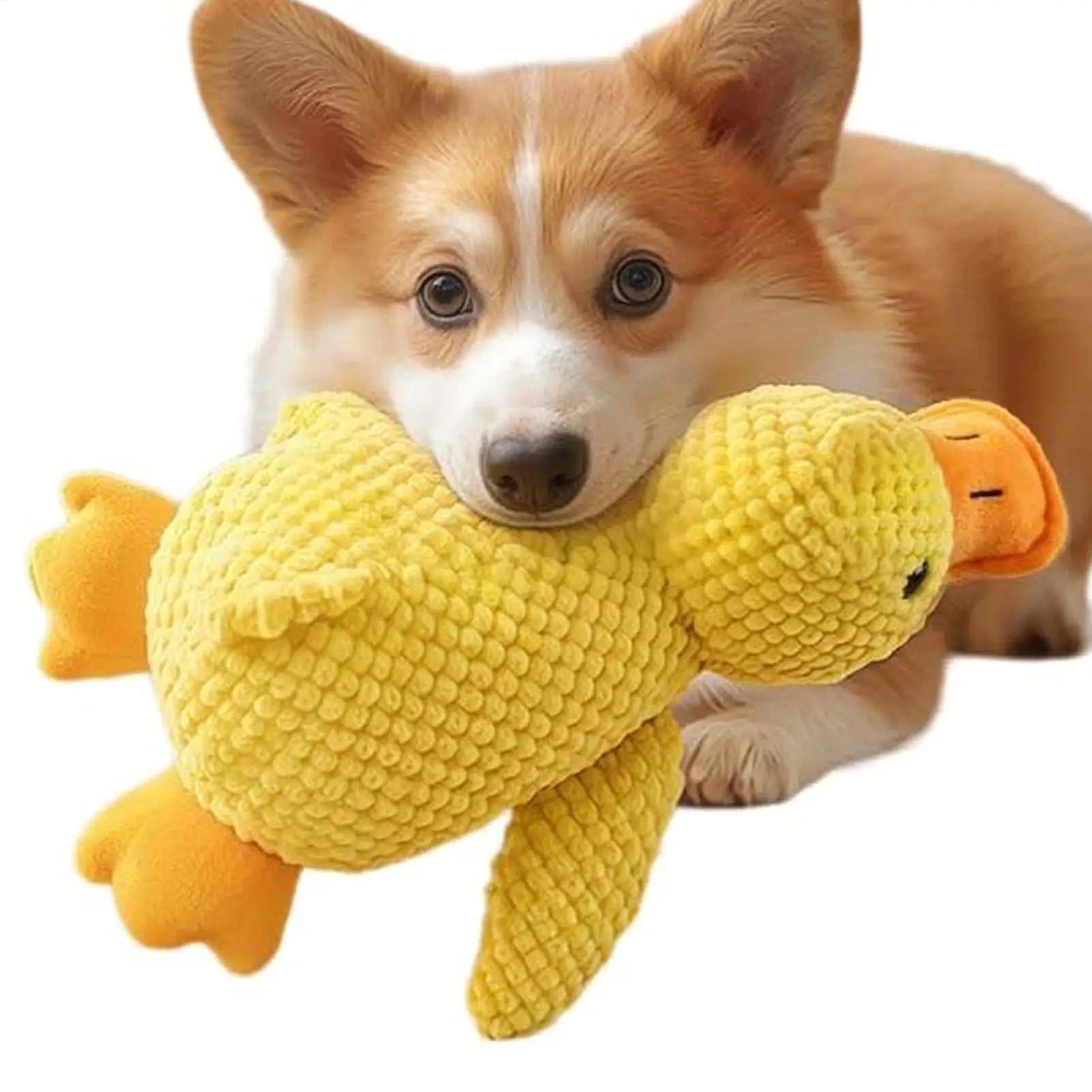 Duck Dog Toy Squeaky Interactive Soft Comfort Teething Supplies Dog Toys Plush for Travel Beach Pool Park Yard Bedroom Garden Zpaxo