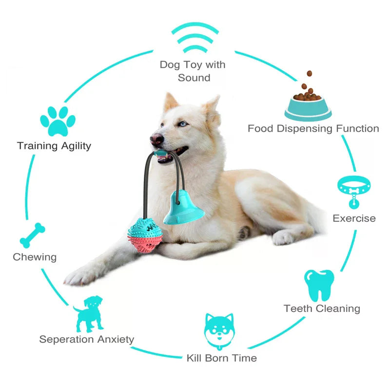 Dog Toys Suction Cups Pull Ropes Food Dispensing Balls Tpr Pet Zpaxo