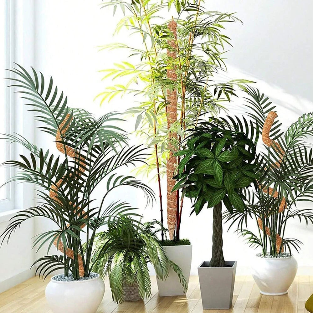 Moss Pole for Plants Monstera Plant Support Stakes for Climbing Indoor Plants Garden Trellis Plant Stick for Potted Plants Zpaxo